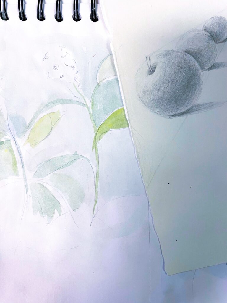 drawing and watercolour